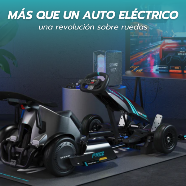 Gokart PRO 2 | Volvé a ser pibe y sentí la adrenalina en cada curva - Image 4