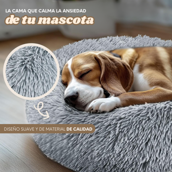 Cama Dona de mascotas - Image 2